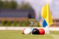 A set of colored croquet balls and a winners cup on the green lawn, blurred background