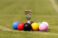 A set of colored croquet balls and a winners cup on the green lawn, blurred background