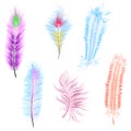 set of colored feathers isolated vector