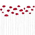 Set colored flowers. Red poppies. Vector hand drawn red flowers Royalty Free Stock Photo