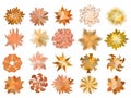 Set of colored hand drawn stylized top view autumn trees and plants. Graphic, isolated on white, vector Royalty Free Stock Photo