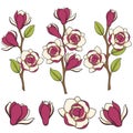 Set of colored illustration of blooming magnolia branches. vector objects.