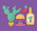 colored mexico icons