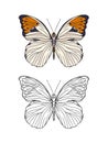 Set of colored and outline butterfly.