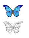 Set of colored and outline butterfly.