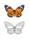 Set of colored and outline butterfly.