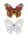 Set of colored and outline butterfly.