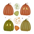 Set of colored pumpkins, collection of hand drawn pumpkins on white background, for autumn design, Halloween invitation Royalty Free Stock Photo