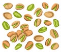 Set of colored realistic roasted pistachios nuts in group, separate on white background. Salty delicious organic food, nutshells.