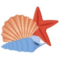 A set of colored seashells. Isolated vector illustration on a white background Royalty Free Stock Photo