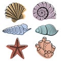 A set of colored seashells. Isolated vector illustration on a white background Royalty Free Stock Photo