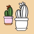 A set of colored and sketh pictures. Round green cactus with a flower in a pink ceramic pot, vector