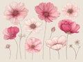 A set of colorful abstract hand-drawn illustrations featuring lilies, chamomiles, and roses, suitable for decorating Royalty Free Stock Photo