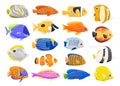 Set of colorful and aquarium fishes. Angel, butterfly, clown, etc colorful marine fishes cartoon vector