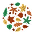 Set of colorful autumn leaves in the form of a circle. Isolated on white background. Simple hand drawn vector Royalty Free Stock Photo