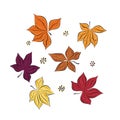 Set of colorful autumn leaves. Isolated over white background. Simple cartoon flat style. vector illustration. Hand drawing Royalty Free Stock Photo