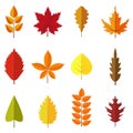 Set of colorful autumn leaves isolated on white background. Green, red and orange fallen autumn leaves collection in Royalty Free Stock Photo