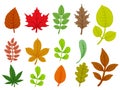Set of colorful autumn leaves. Isolated on white background. Royalty Free Stock Photo