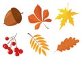 Set of colorful autumn maple and oak leaves, viburnum and acorns and leaves on a twig. Illustration in flat simple style. Vector Royalty Free Stock Photo