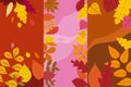 Set colorful autumn templates of autumn fallen leaves orange yellow foliage. Backgrounds social media stories banners Royalty Free Stock Photo
