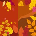 Set colorful autumn templates of autumn fallen leaves orange yellow foliage. Backgrounds social media stories banners Royalty Free Stock Photo