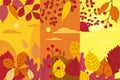 Set colorful autumn templates of autumn fallen leaves orange yellow foliage. Backgrounds social media stories banners Royalty Free Stock Photo