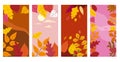 Set colorful autumn templates of autumn fallen leaves orange yellow foliage. Backgrounds social media stories banners Royalty Free Stock Photo