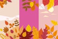 Set colorful autumn templates of autumn fallen leaves orange yellow foliage. Backgrounds social media stories banners Royalty Free Stock Photo