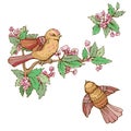 Set of colorful birds and blooming summer flowers, on w