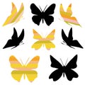 Set of colorful and black butterflies in sketch style on white background. Butterfly on white background for decoration Royalty Free Stock Photo