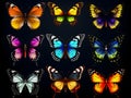 Set of colorful butterflies on black background. Generative AI