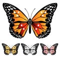 Set of colorful butterflies