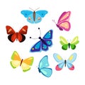 A set of colorful butterflies in a cartoon style. A collection of patterned winged vector insects