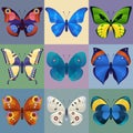 Set of colorful butterflies for design.
