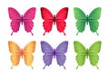 Set of Colorful Butterflies Isolated for Spring Royalty Free Stock Photo