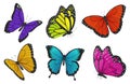 Set of colorful butterflies. Vector