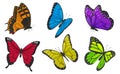 Set of colorful butterflies. Vector