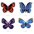 Set of colorful butterflies on white background Royalty Free Stock Photo