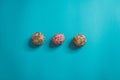 Set of colorful, caramelized, chocolate balls with crumbs on them isolated on a blue background