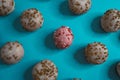 Set of colorful, caramelized, chocolate balls with crumbs on them isolated on a blue background