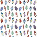Set of colorful cartoon cute vector birds Royalty Free Stock Photo