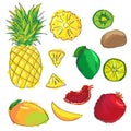 Set of colorful cartoon fruit icons: pineapple, kiwi, lemon, mango, garnet, lime.
