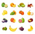 Set of colorful cartoon fruits isolated on white background. Tropical vector fruits illustration