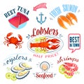 Set of colorful cartoon seafood labels: tuna, salmon, lobster, oysters and shrimps, isolated on white. Royalty Free Stock Photo
