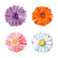 Set of colorful chamomile flowers, watercolor illustration