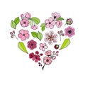 Set of colorful cherry flowers in a heart frame on a white background. Vector illustration Royalty Free Stock Photo