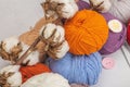 A set of colorful clew of thread for knitting and special craft tools. Handmade, hobby concept