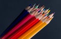 Set of Colorful Colored Pencils or Crayons multicolor