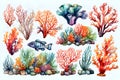 Set of colorful corals and seaweed. Marine plants and aquarium algae on transparent background