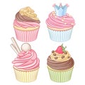 A set of colorful cupcakes isolated on white background. Royalty Free Stock Photo